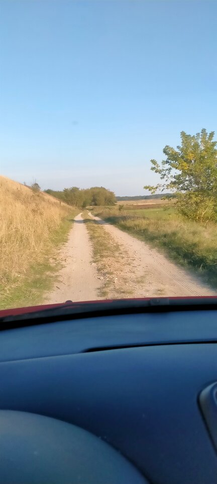 0faf2981-5d4c-410e-ad85-5fca28fcfa69-1_all_140.jpg - Wszolek