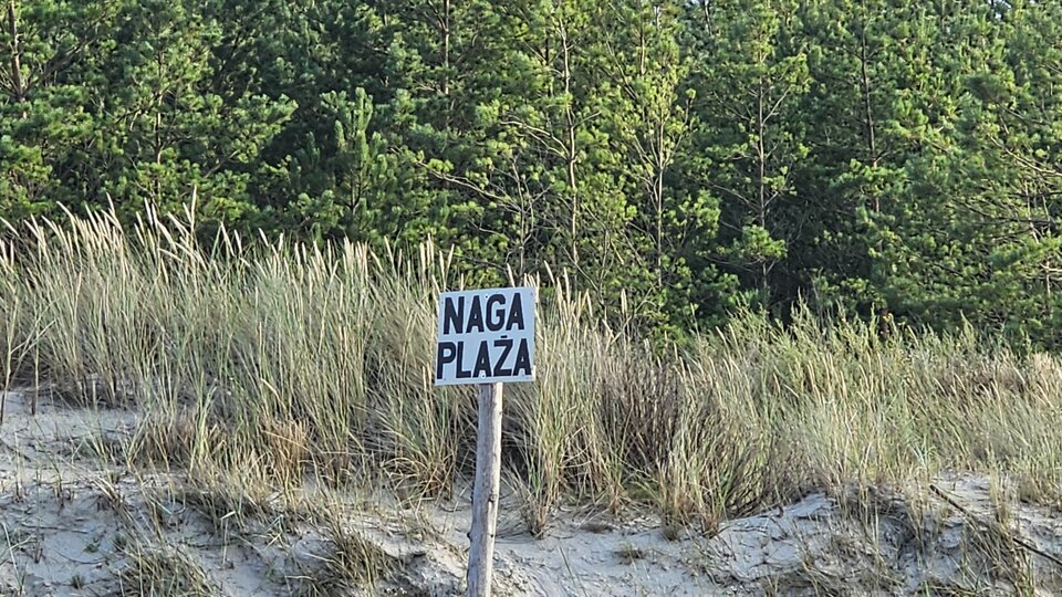 1000036604.jpg - Klasycznyxx