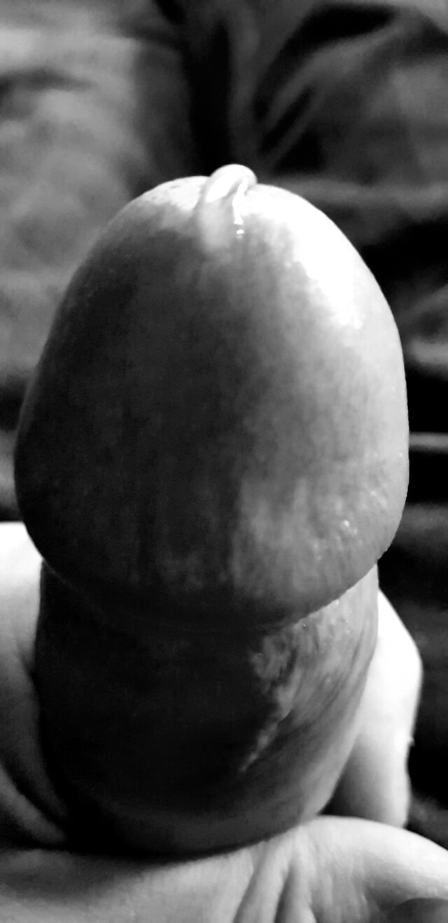 Creammy_82_DlaStarszej