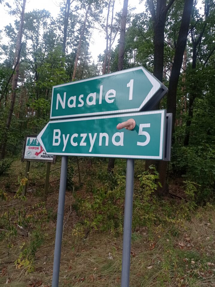 1000013887.jpg - Sebek89142