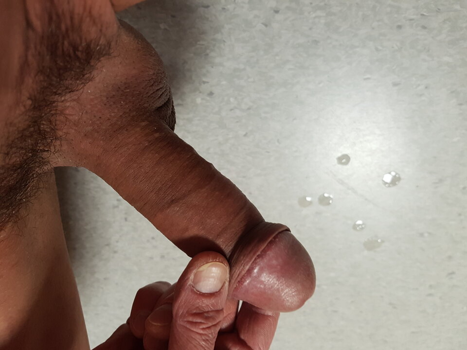 20250909_004634.jpg - Whitelittlecock