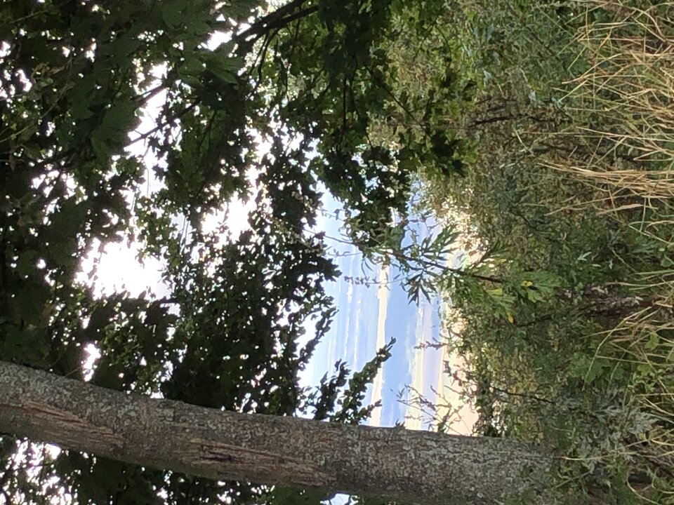 IMG_0599.jpeg - Lucyfer79wr