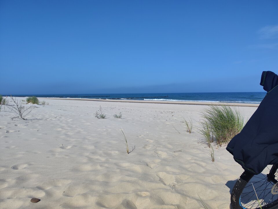 1000020140.jpg - tom6970