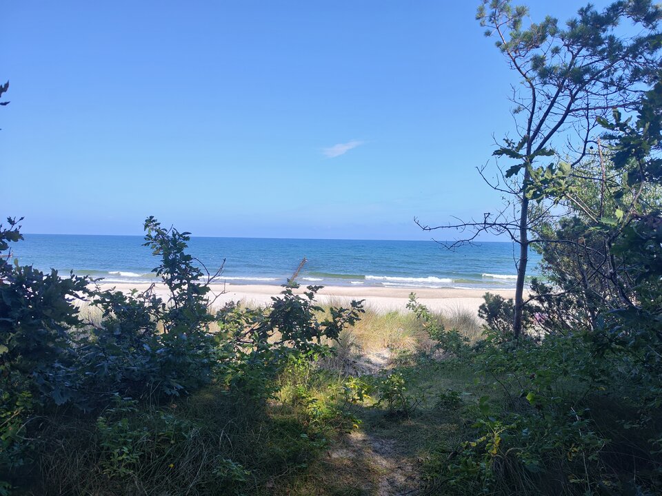 1000020139.jpg - tom6970