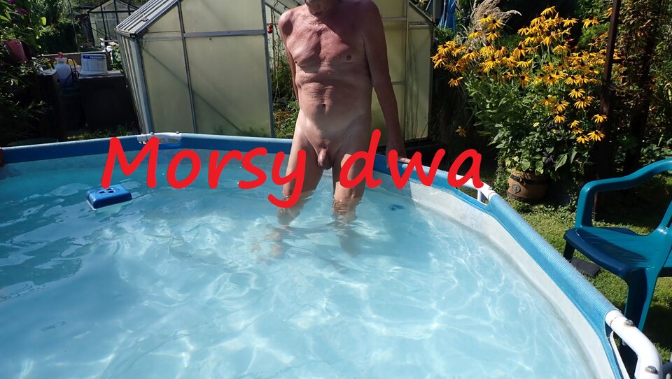 Wypad nad wodę. - Morsy_dwa