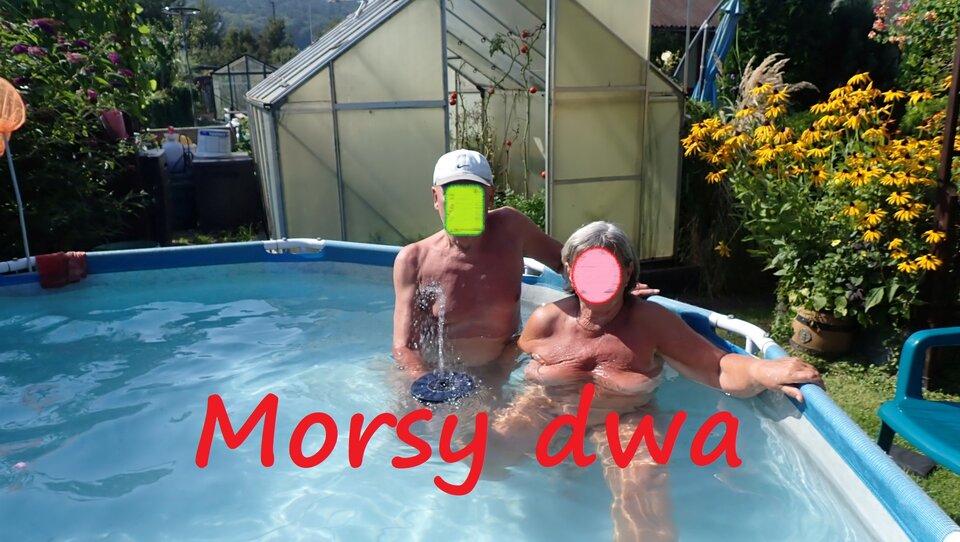 Wypad nad wodę. - Morsy_dwa