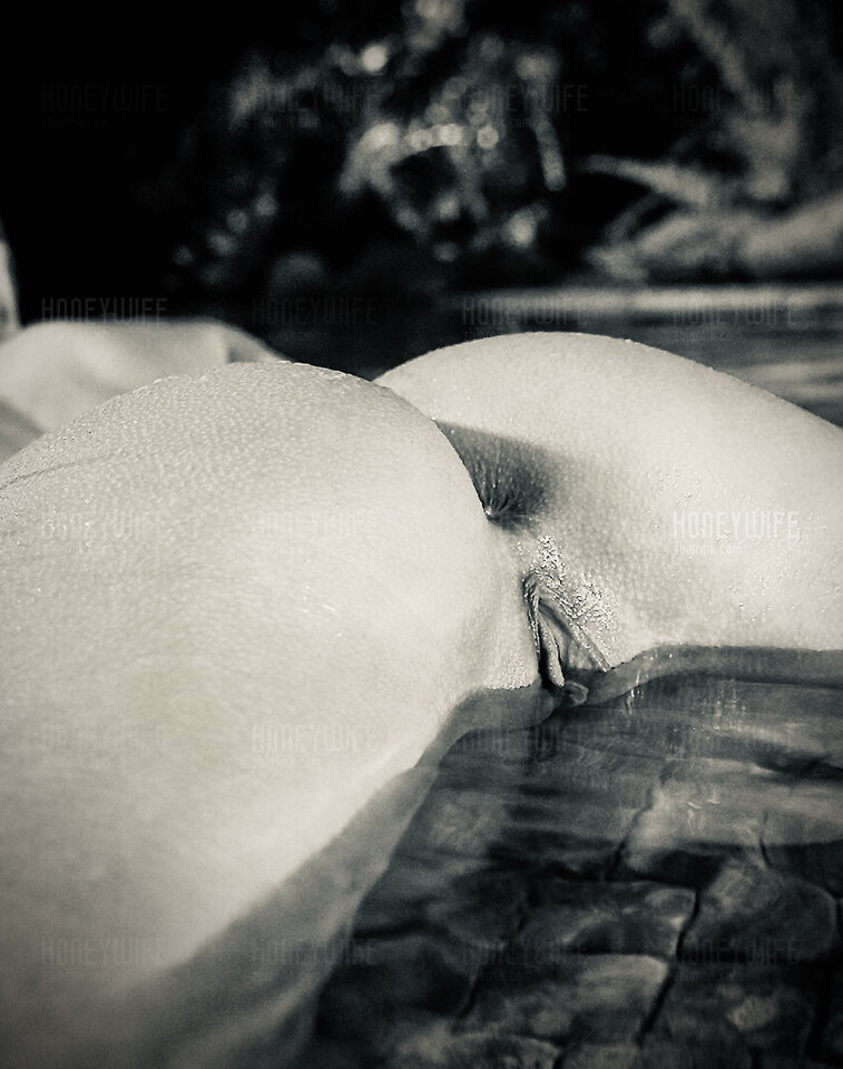 Honey Wife 328.jpeg - HoneyWife