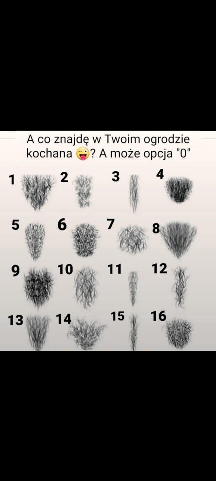 20250910_220059 - parkarypin