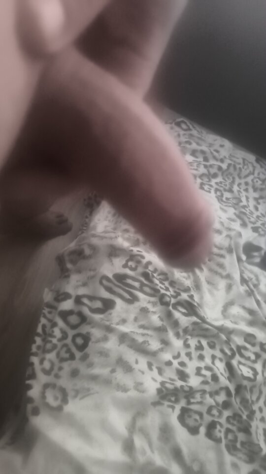 1000023173.jpg - DarekBiLodzkie