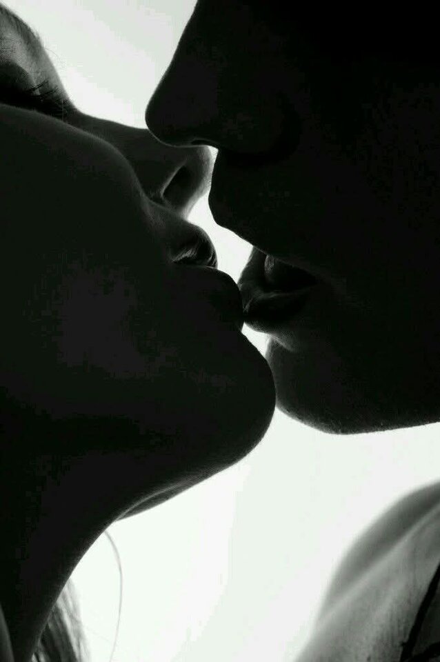 1000036256.jpg - Pronarrki