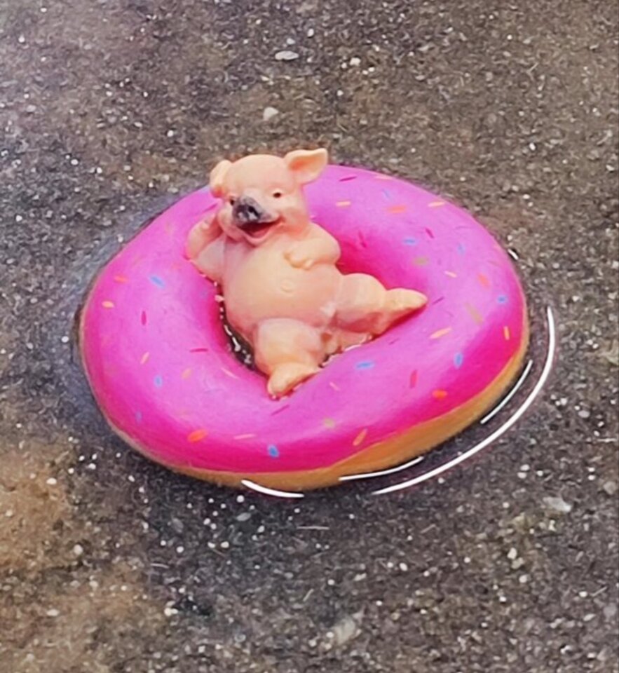 1000028487.jpg - NicponieGdynia