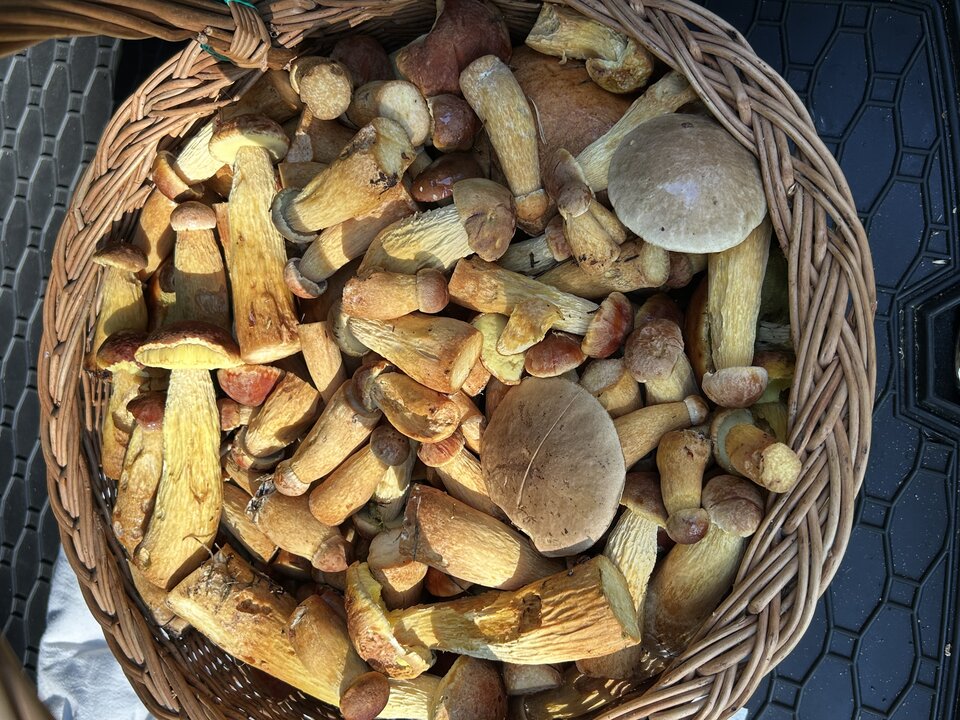 IMG_8968.jpeg - NaturystaXXX
