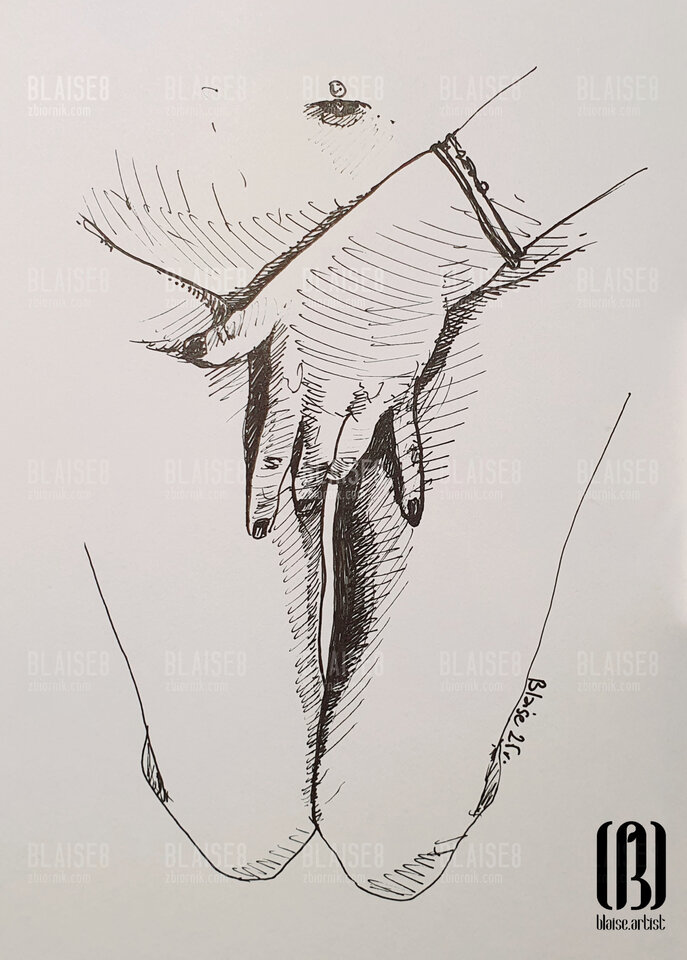 Art. No. 365 - blaise8