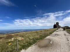 IMG_2565.jpeg