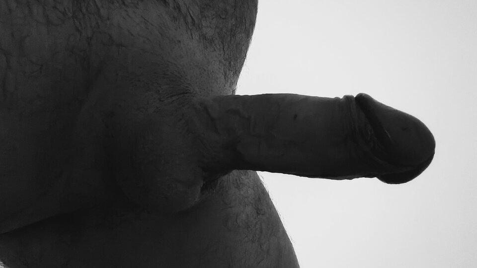 1000003229.jpg - dominik22