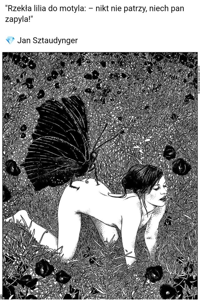 Miłego dnia 😊 - Kaban01