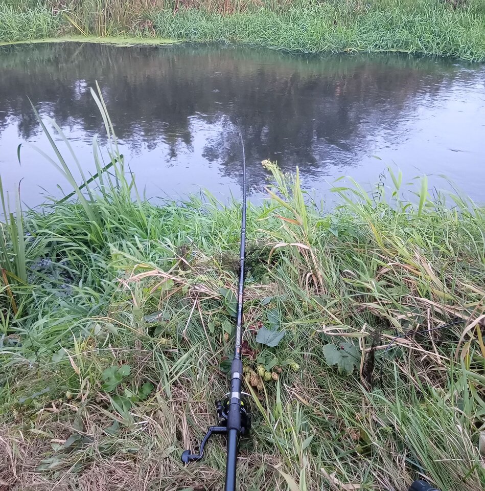 1000000323.jpg - Hugo11234