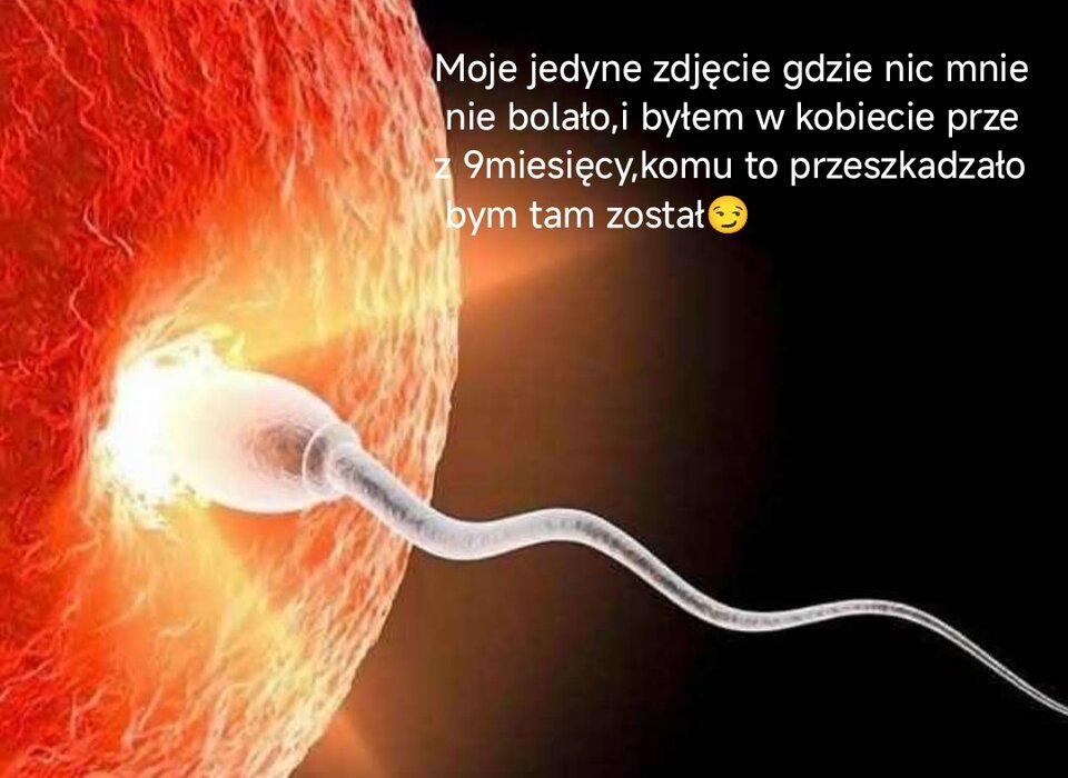 1000012437.jpg - Lubelski83