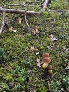IMG_8989.jpeg