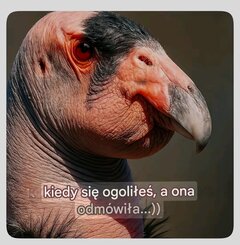 Screenshot_2025-09-12-19-02-46-503_com.google.android.googlequic