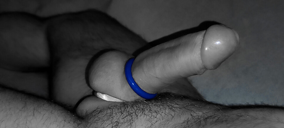 1000048019.jpg - wild_octo