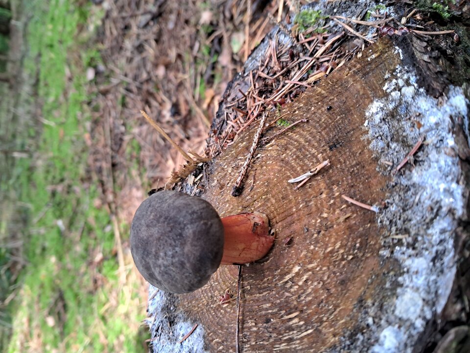 1000012489.jpg - piotrusxyz