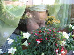 Na ten początek niedzieli