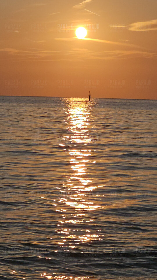 1000034330.jpg - paraJK