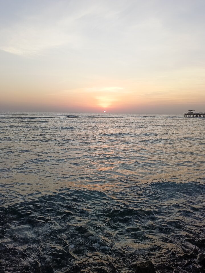 1000020707.jpg - Piotr385