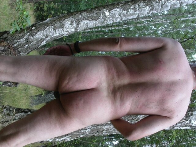 las44.JPG - kodomo23