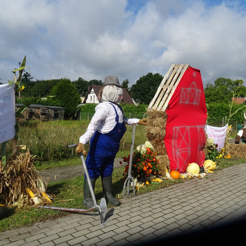 DSC04660.JPG - bojman8