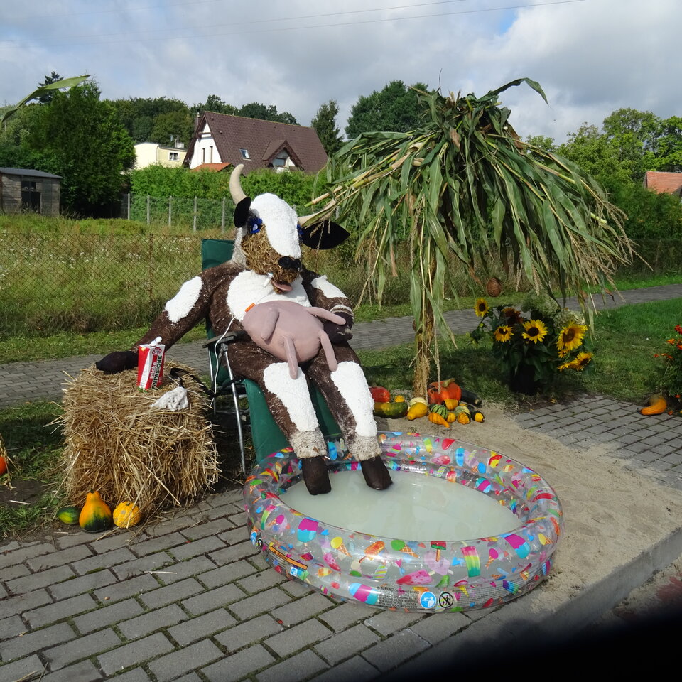 DSC04661.JPG - bojman8