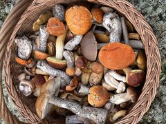IMG_9030.jpeg