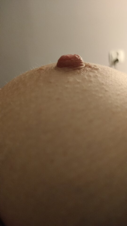 1000004894.jpg - Malyedus