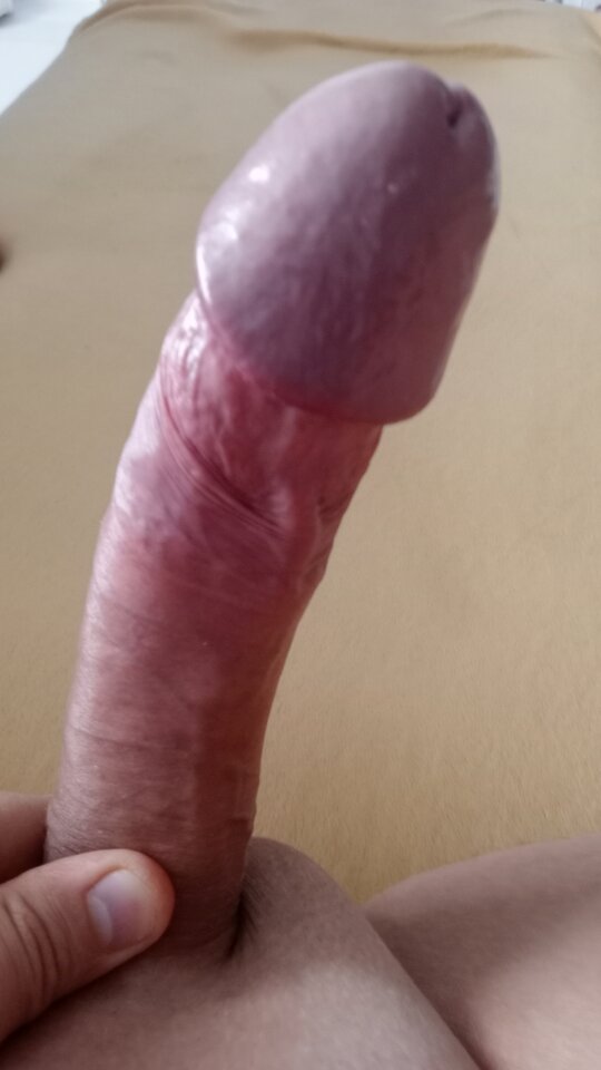 IMG20250914114943.jpg - RealnyMarek20
