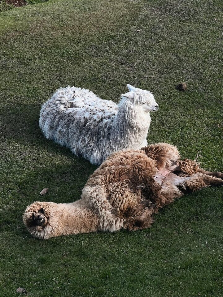 1000093264.jpg - BlissEnigma