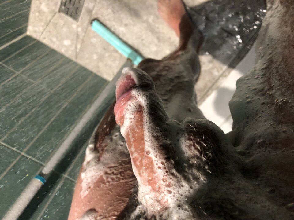 IMG_4137.jpeg - Nickyy123