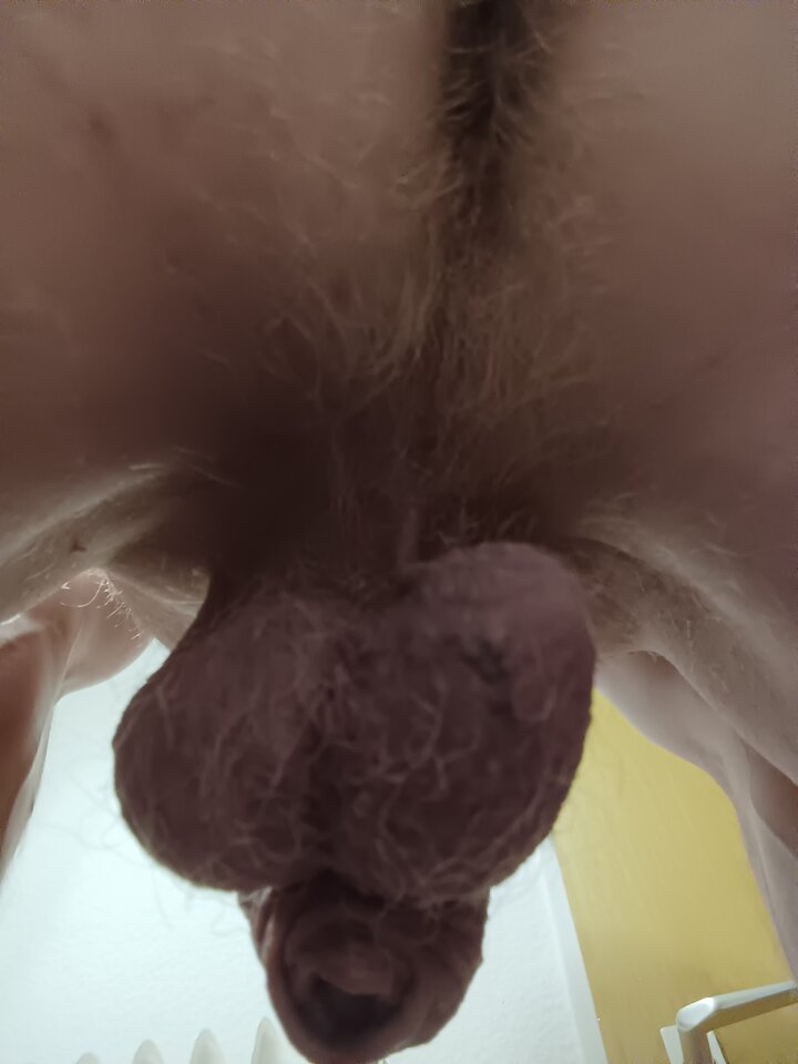 IMG_20250914_192440.jpg - Rajstopypl