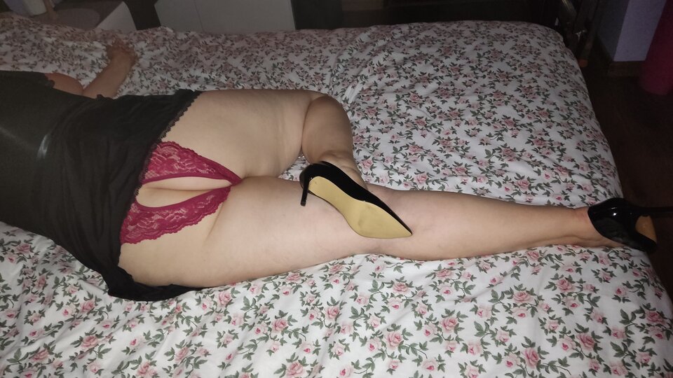 1000061454.jpg - Parakochaseks