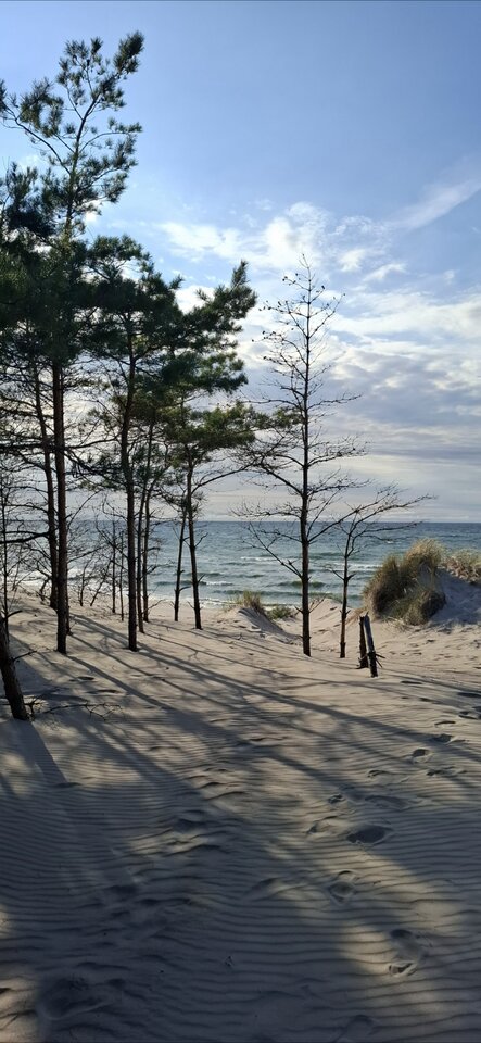 1000015754.jpg - Pumka34