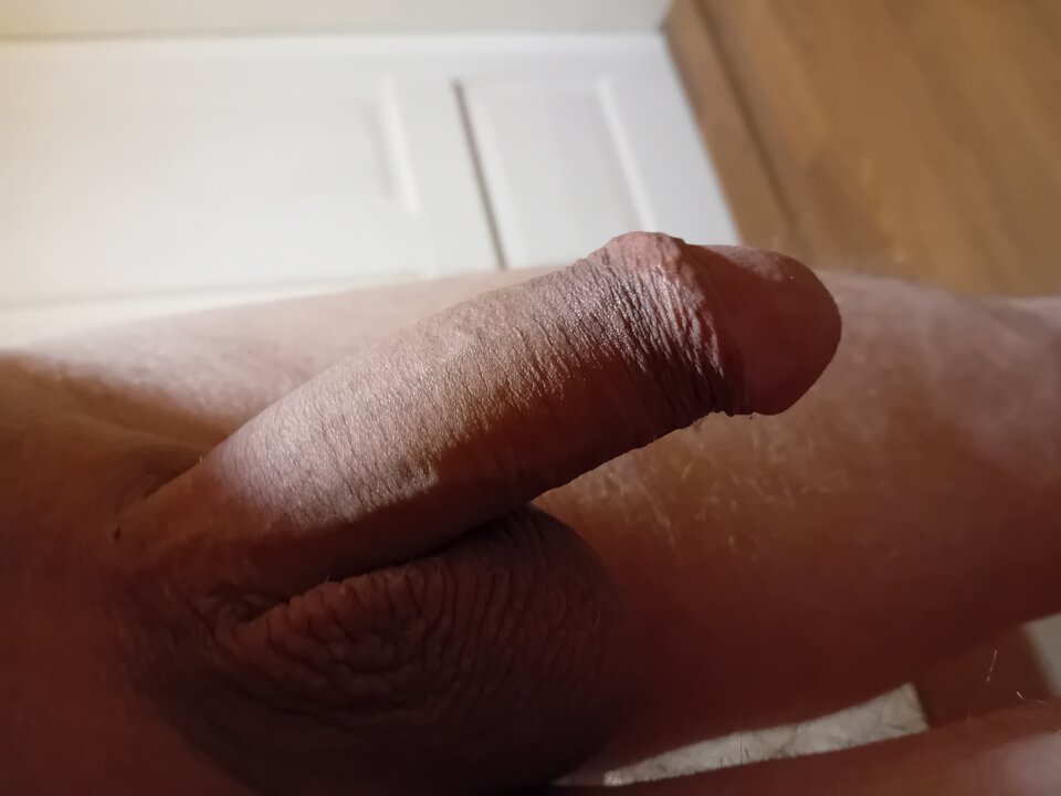 1000008683.jpg - brus13