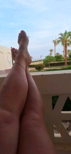 Pamiętniki z wakacji