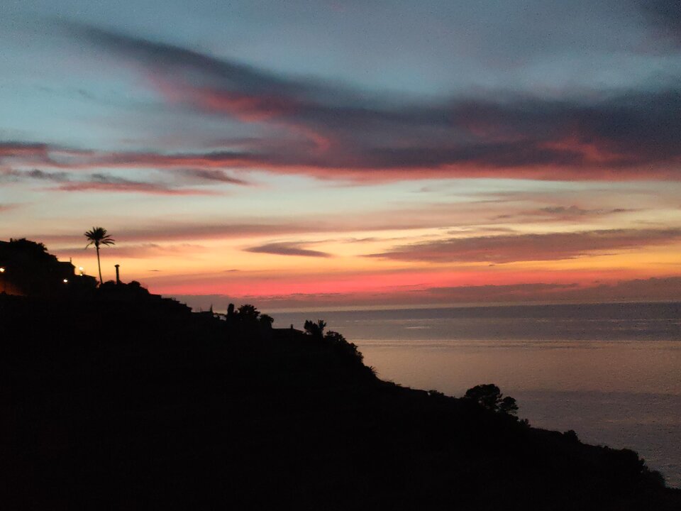 1000039517.jpg - Petko224