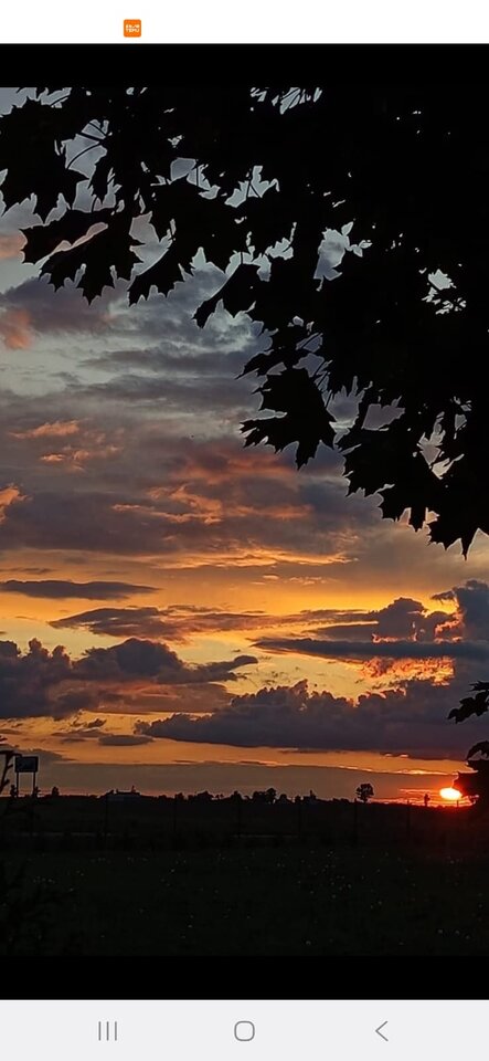 IMG-20250914-WA0010.jpg - Czarodzieje_alfa