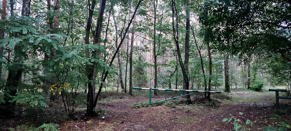 Wronowice Las - J_Sully