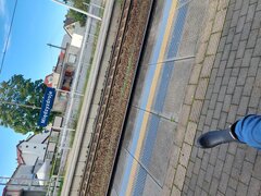 20250915_154620.jpg