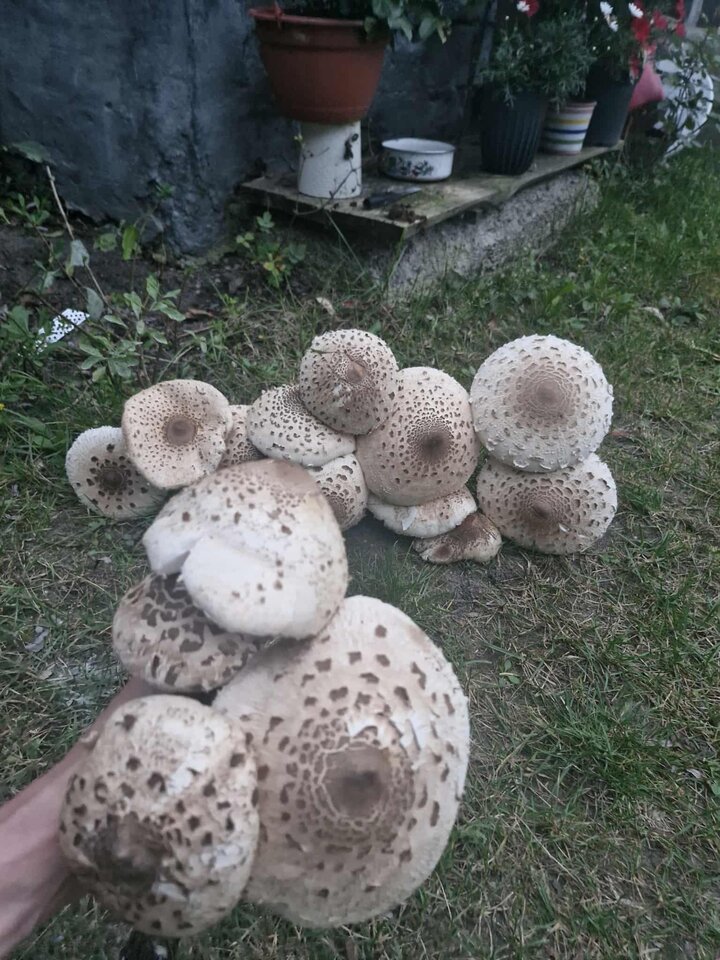 Messenger_creation_584B53F3-0656-4ACE-97F8-4CAD8282DDFE.jpeg - reserva1