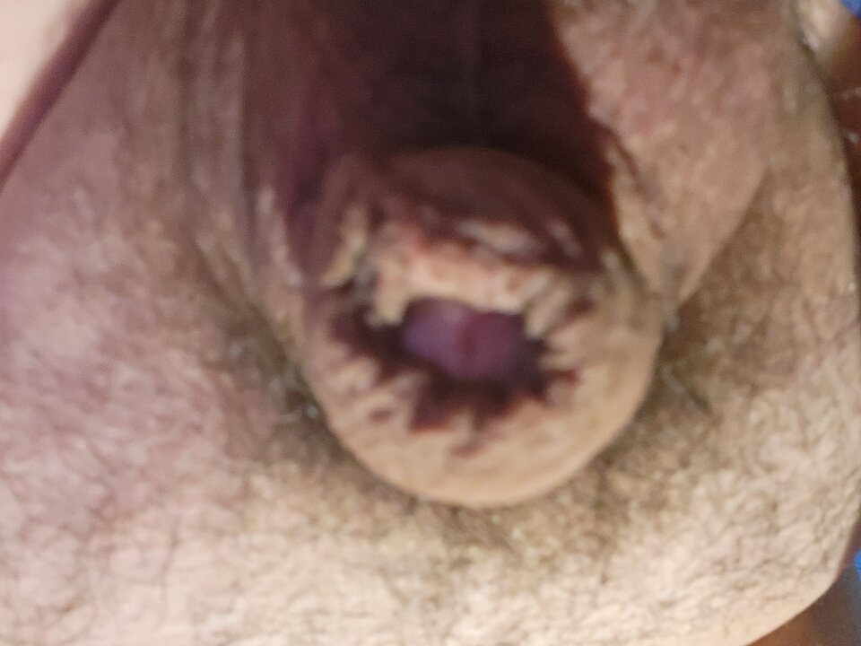 1000008722.jpg - men59