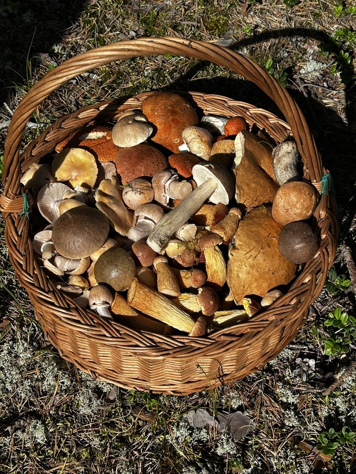 IMG_9082.jpeg - NaturystaXXX
