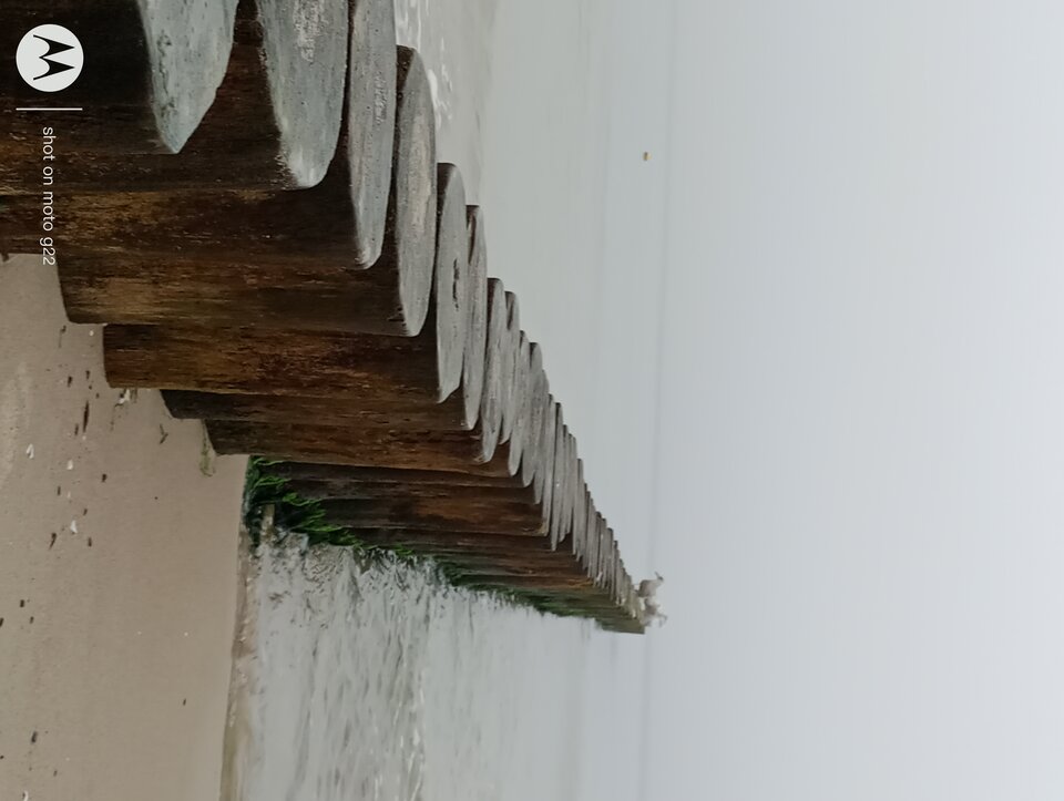 IMG_20250830_064050798.jpg - Jestemrealistta